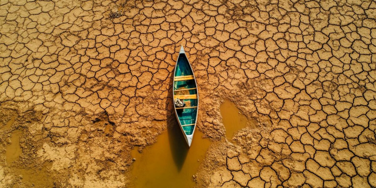 Revealed: Shocking Brazil Sugar Crisis Elevates Thai and Indian Production as Global Prices Soar