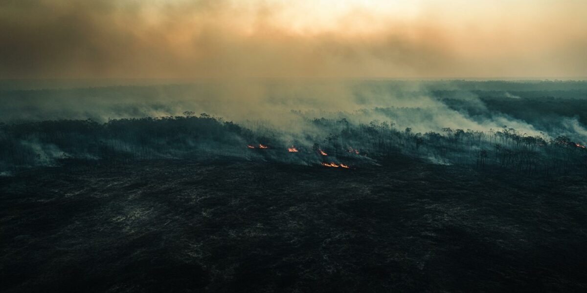 Uncovering the Hidden Wildfire Risks: How NC's Coastal Terrain, Past Blunders, and Climate Change Are Fueling Catastrophes