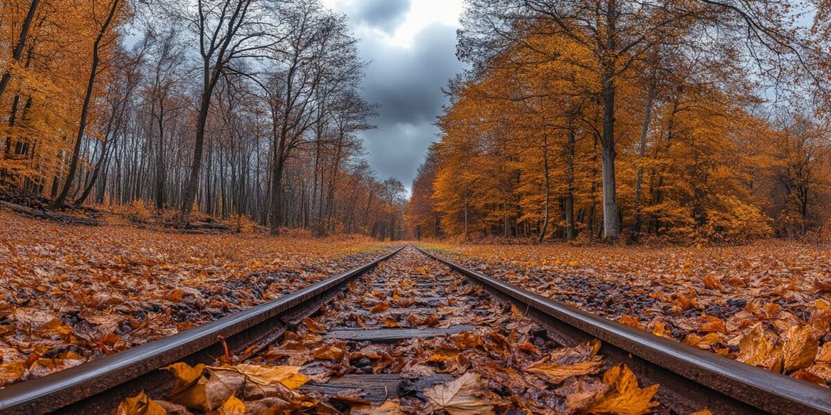 Climate Change Shock: Fall Leaves Lose Their Vibrancy, Experts Warn of Unseen Crisis