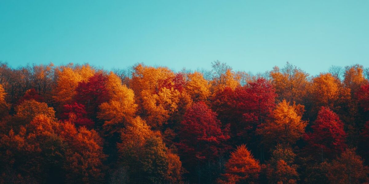 Climate Change Shocks: Fall Foliage in the Midwest Rivals New England's Famous Colors!