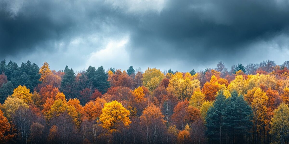 Climate Crisis Ravages Iconic Fall Colors: Experts Reveal Shocking Dullness in Leaf Spectacle