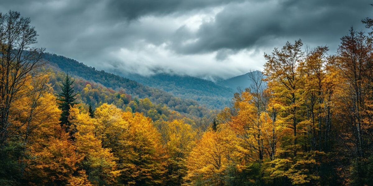 Experts Reveal How Climate Change is Stealing the Magic of Fall Foliage – What's Happening to Our Leaves?